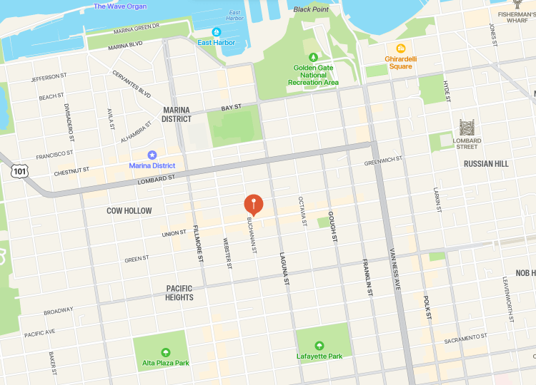 Street Map of Cow Hollow in San Francisco with a red pin mark denoting the location of the Mini Chameleon